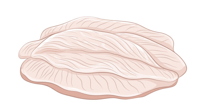 Selection of fresh raw white fish fillets ready for cooking and food preparation in a healthy organic seafood meal.