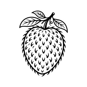 Black and white line art illustration of a soursop fruit with a leaf