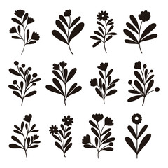 Obraz premium Botanical wildflower silhouette collection for crafts and creative design projects