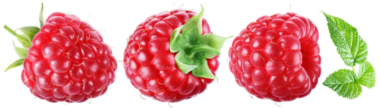 Trio of juicy ripe raspberries with leaves isolated on transparent background.