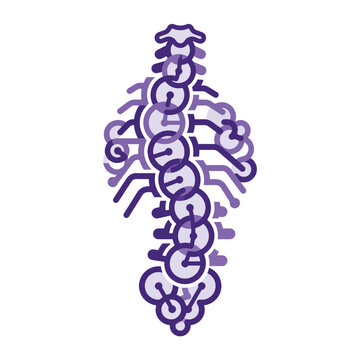 Stylized illustration of a human spine with a scoliosis curve, depicted with purple abstract shapes and lines on a white background.