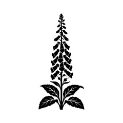 Tall foxglove flower silhouette vector illustration © Md CF ID #17860857