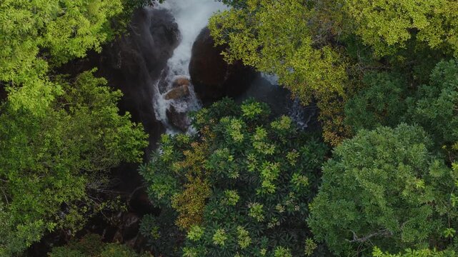 Raging waterfall in rocky gorge in green forested mountains of Yakushima, Japan