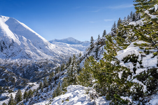 Pirin mountains in winter sunny day. Todorka and Banderishki chukar peaks behind snow covered Mt. Vihren slope.