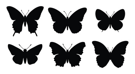 Butterfly silhouettes a collection of six black vector shapes on white © Nayem