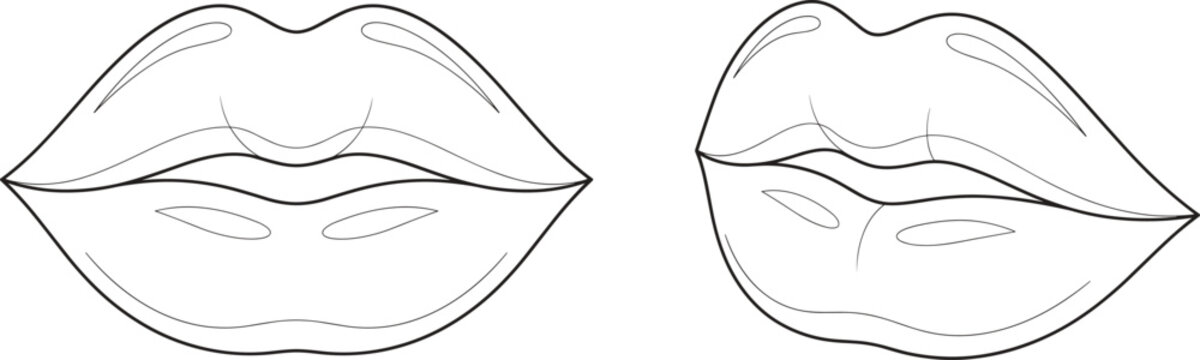 Black and White Line Drawing Vector of Stylized Lips with Contour Details
