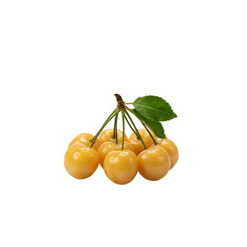 Bunch of ripe yellow rainier cherries with green stem and leaf isolated background vitamins colorful agriculture delicious vegetarian nutrition ingredient