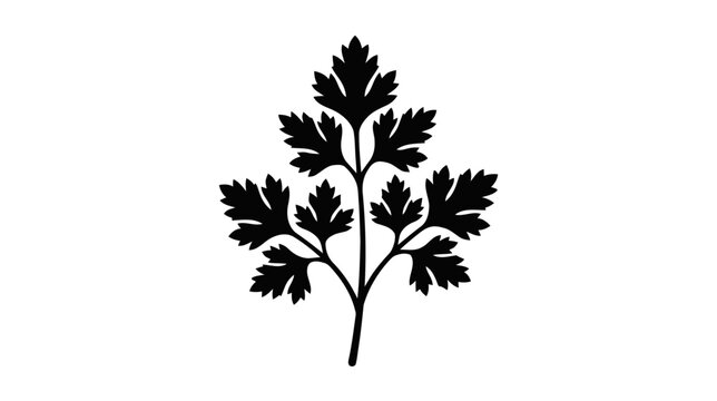 Vector illustration of parsley leaf icon on a transparent background