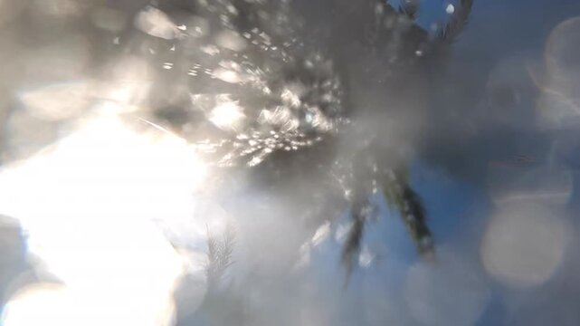 Water droplets splashing over a camera lens, capturing palm trees and a bright blue sky outdoors with lens flare