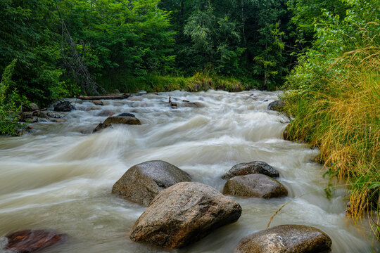 Fast flowing mountain river with white water rapids and large rocks in lush green forest, nature landscape travel concept