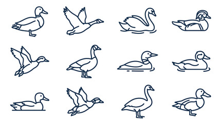 Waterfowl Icon Set © Yanto