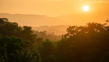 Naklejka premium Soft golden horizon over jungle