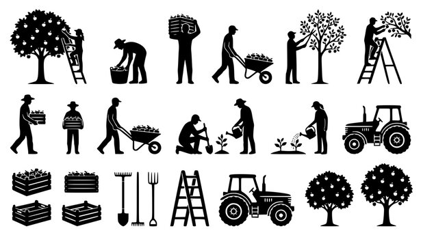 Orchard Farm Harvest Silhouette Icon Set with Farmers Picking Apples Watering Crops Packing Crates and Driving Tractors for Agriculture Designs