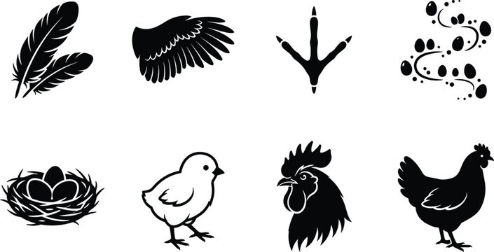 Chicken Icon Set, Black Silhouette Rooster, Hen, Chick, Feather, Nest, Bird Foot