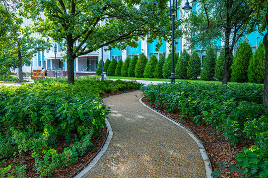 Curved walking path through manicured green park with trees and hedges in summer city, urban landscape design concept