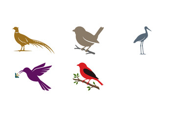 Obraz premium Set of five colorful bird silhouettes featuring a pheasant and hummingbird and cardinal and sparrow and heron illustrated on a transparent background