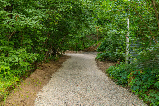 Scenic gravel path through lush green summer forest with tall trees, nature hiking and outdoor recreation travel concept