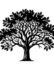 Fototapeta premium Large Oak Tree Silhouette Vector Illustration
