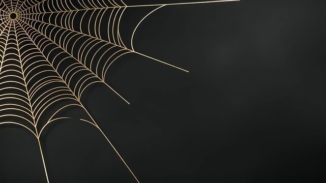 Elegant Minimalist Line Art of a Gold Spider Web in the Top Left Corner