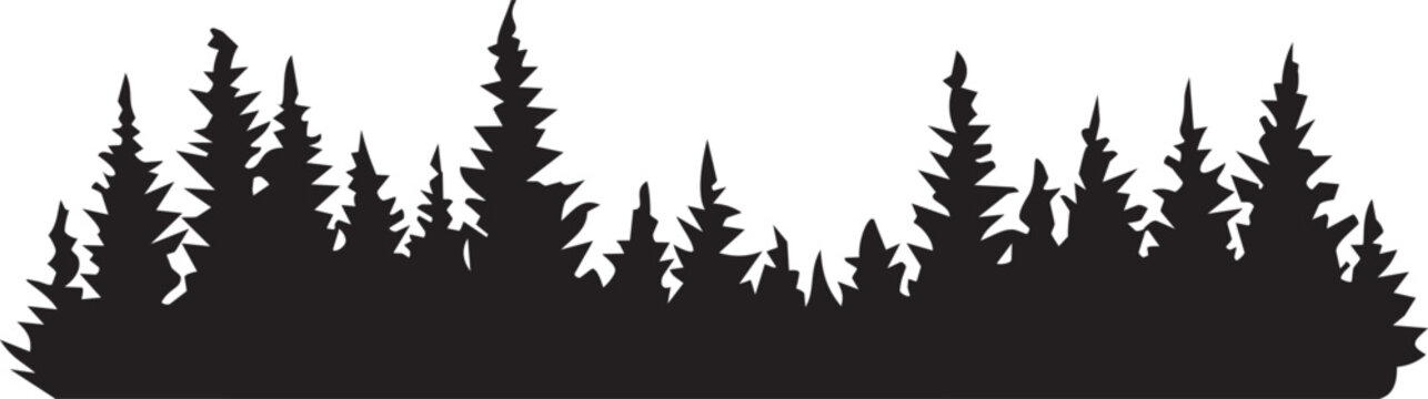 Forest silhouette against a white background with pine trees in a landscape vector style