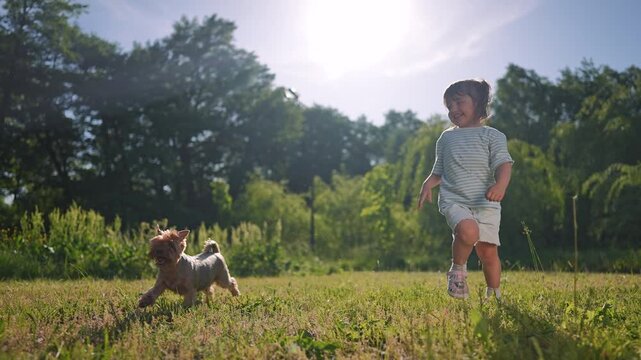 Girl plays outdoor dog in summer. Happy running child shows bright smile. Joy fills nature scene. Sunlight warms girl joy. Nature smile shines. Child loves happy outdoor fun. Running brings summer joy
