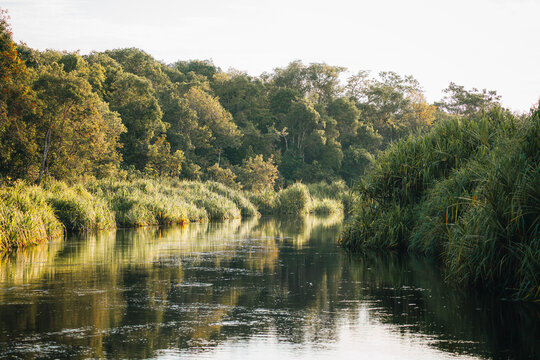 A tranquil river winds through the Bornean rainforest to showcase the untouched tropical wild ecosystem
