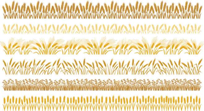 Golden yellow ripe wheat spikelets seamless borders collection, agriculture farm field horizontal pattern set isolated on white background vector illustration.