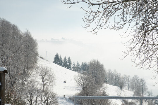 The Piedmontese Langhe and Monviso in winter with snow for a fairytale snowy landscape