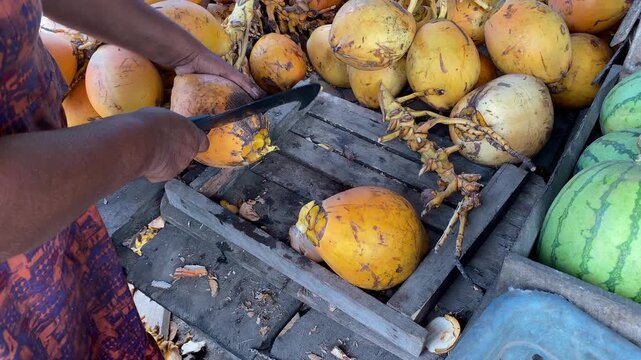 A person uses a machete to cut coconuts on a wooden crate at an outdoor market stall, with watermelons and scavenging animals nearby.