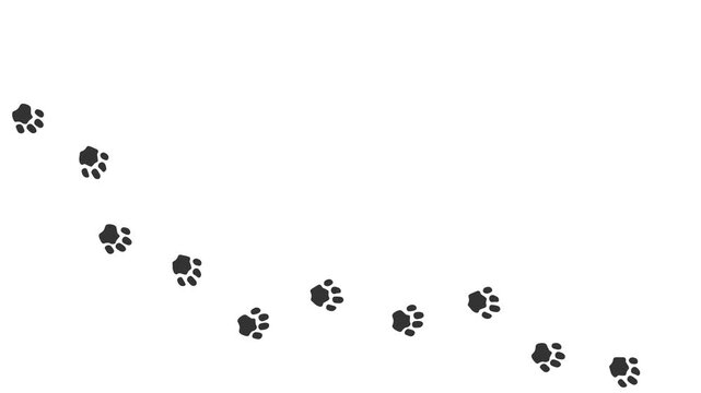 Animation of the gray silhouette of the footprints of  Pallas's cat.  Cartoon funny Wild Animal print along the path. Trajectories that follow the path of movement. Animation of Manul paw prints 