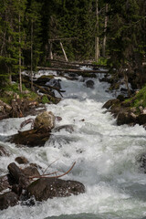 Fast-flowing river cascades over rocks with lush green forest surrounding the banks, highlighting the beauty of a natural landscape © Anat art