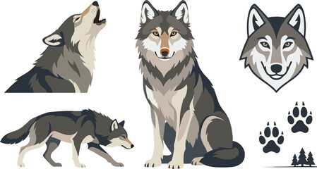 Fototapeta premium Wolf Vector Illustration Set with Howling, Standing, Walking, Wolf Head, Paw Prints, and Forest Wildlife Elements Isolated on White Background