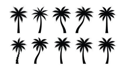 Fototapeta premium Collection of various palm tree silhouettes on white background tropical plants