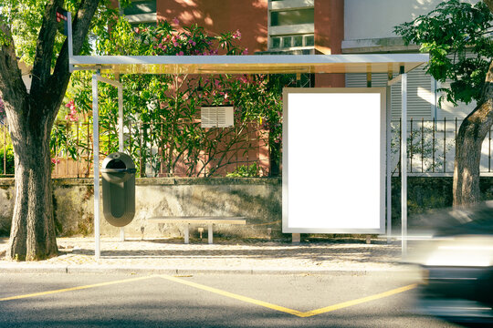 Blank advertising billboard at a modern bus stop in an urban environment with trees and residential buildings in the background. The empty poster display offers copy space for outdoor advertising