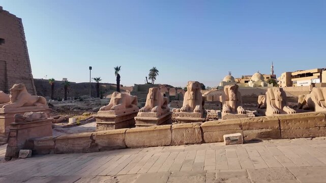 Panning shot revealing the ancient ram headed sphinxes lining the processional way at the karnak temple complex, a historic site in luxor