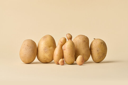 Row of potatoes standing as a family