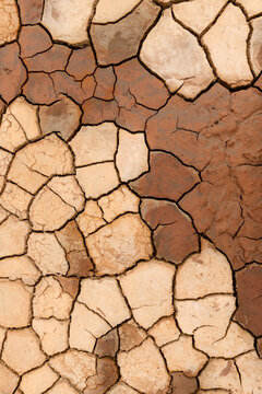 Dry Clay River Bed Abstracts