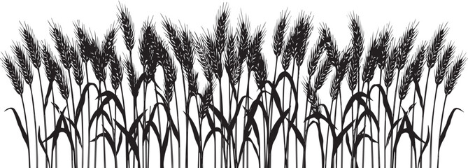 Obraz premium Black silhouette illustration of wheat field grain stalks with agriculture silhouette isolated botanical landscape environment