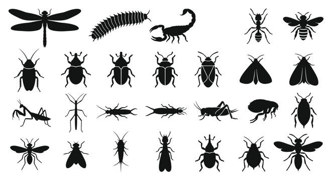 Black insect icon set vector illustration of bugs and flies