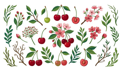 Decorative hand painted cherry berry vector pack with botanical flowers and leaves isolated on white background © DhoniChandra
