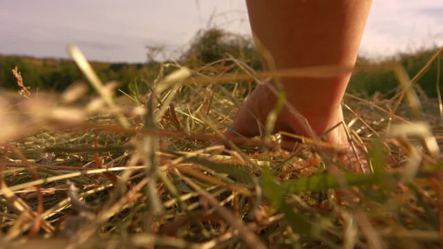 Female farmer picks up piles of grass hay in field