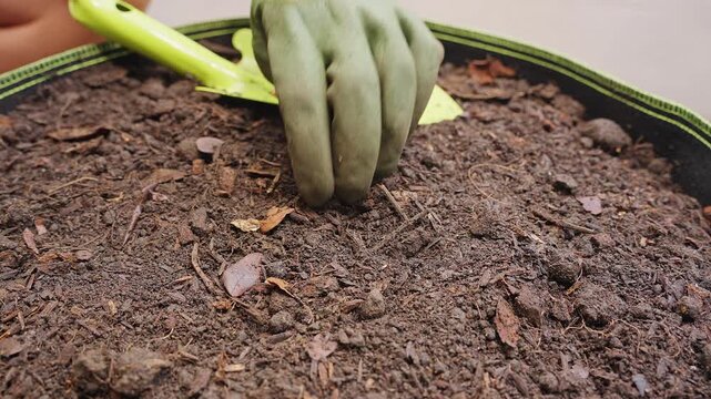 Gardener Wearing Protective Gloves Places a Treated Seed into Dark Soil, Starting Germination and New Plant Growth in a Large Fabric Pot