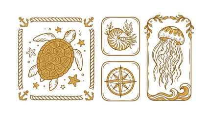 Vintage marine life vector collection, elegant sea turtle illustration with nautical rope frame, antique jellyfish and seashell designs, ocean adventure graphic resources for summer travel and © noor