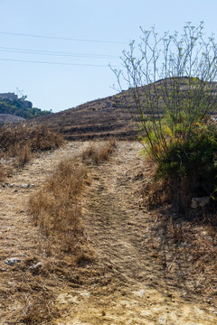 Sunlit Stone Path Through Rural Mediterranean Village Between Dry Stone Walls Overlooking Coast