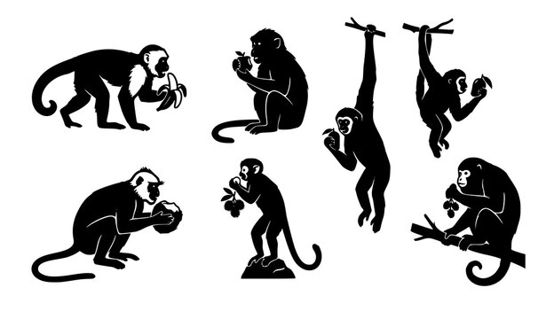 Black Monkey Eating Fruit Silhouette Collection Vector Illustration