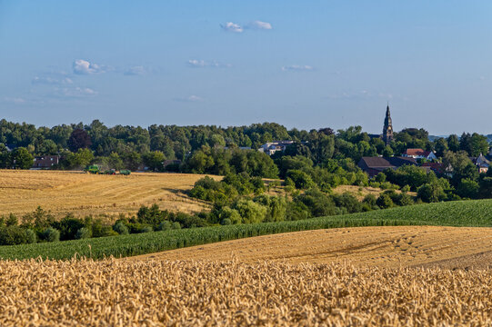 view of the christus church in Ratingen Homberg with grain fields being harvested in the warm evening light