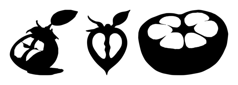 Mangosteen cross-section set with solid black silhouette on white background featuring laboratory-grown, exotic, future food with vector illustration and design