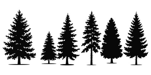 Six realistic black silhouettes of various coniferous evergreen trees in a row isolated on a plain white background © Tanzila