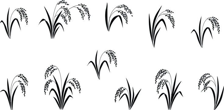 Ten Black Silhouette Icons of Rice Stalks in Various Arrangements grain plant