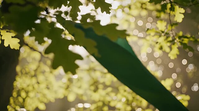 Sunlight filters through green oak leaves onto a flowing green fabric.